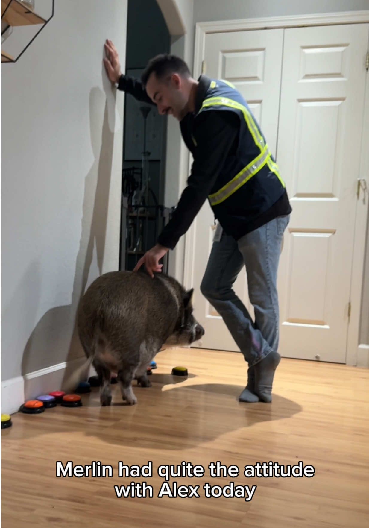 “oh who is you🐽” 