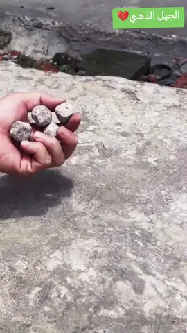 #الزمن_الجميل #ذكريات #زمان_الطيبين #الجيل_الذهبي_الجزائري_1970_80_90 #الجيل_الذهبي @【JOKER】 @【JOKER】 @【JOKER】 