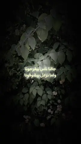 #عمرودياب #مضحوك_علينا 