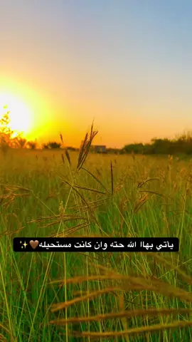 #تصويري📷 #تصوير_احترافي_الاجواء👌🏻🕊😴 #تصميم_فيديوهات🎶🎤🎬 