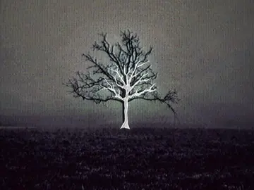 #pourtoi#fyp#poisontree 