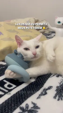 Mais mimados impossível 😂 link na bio tb! #foryou #pet #maedepet #compras 