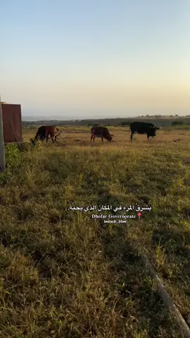 مربع الشرق#fpy #اكسبلور #تصويري #صلالة #foryoupage 