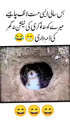such mn asi life ho#foryoupage #trending #views #everyone 