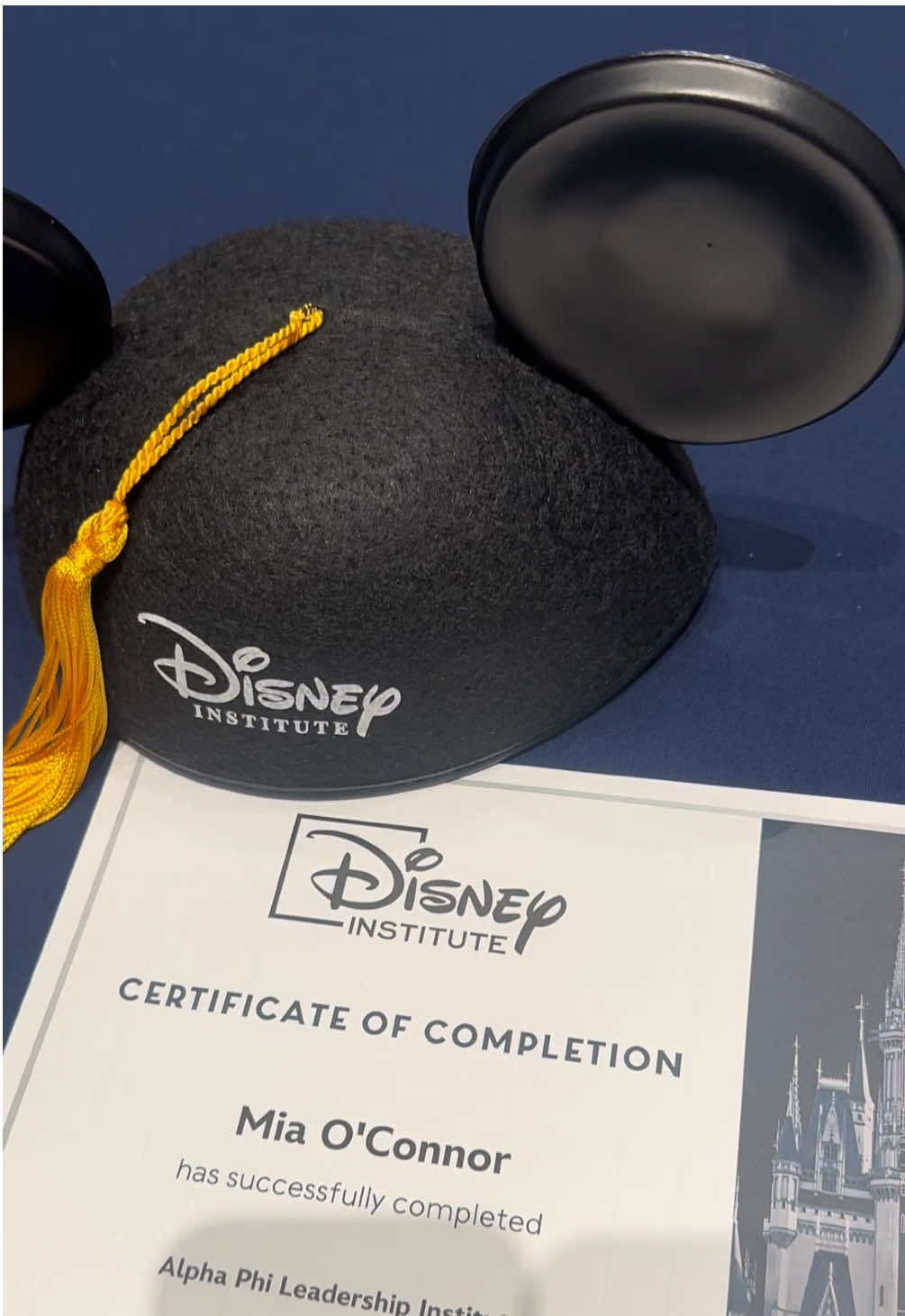 Weekend in Disney World w/@Alpha Phi International 🏰🤍 #udalphaphi #alphaphi #universityofdelaware #sorority #fyp 