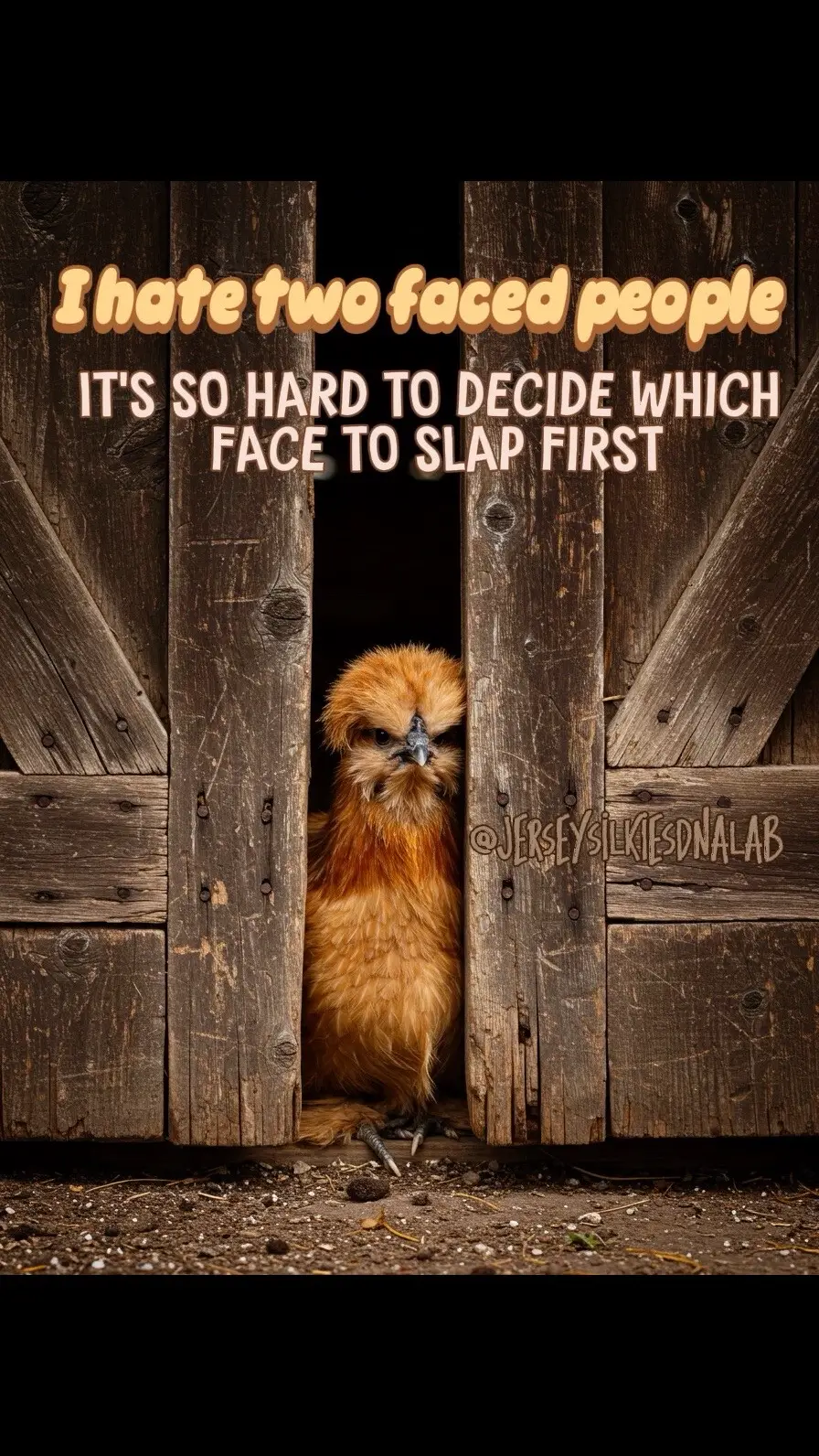 #​chickens memes 😂🐓🤣