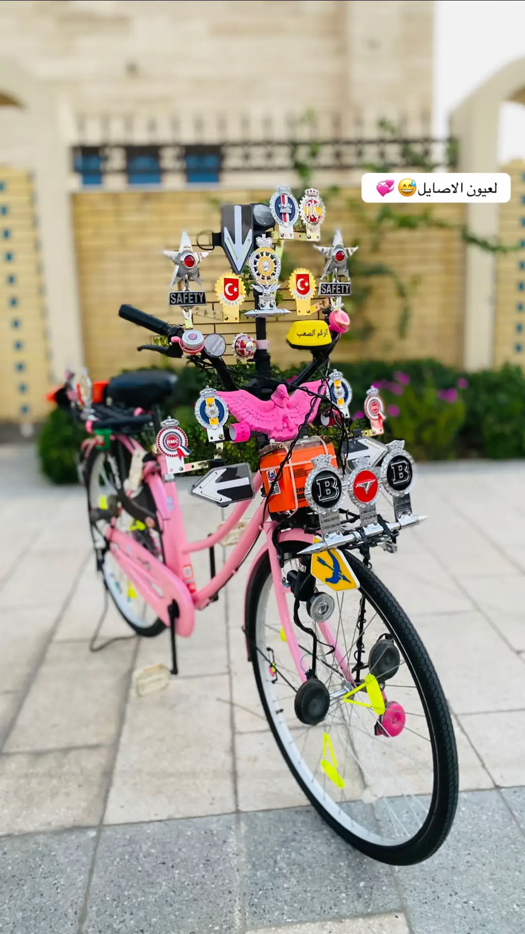 #باسكلات_لاتعرف_القانون😅✌️ #الحلال #شلوخ_مانبيع_ما_عدنه_شي👑🧭 #شلوخ_مانبيع_ما_المتابعينشل #كربلاء @♯̶﮼حسون الاصيل🏁⤹ لعيونك اخي😅💞