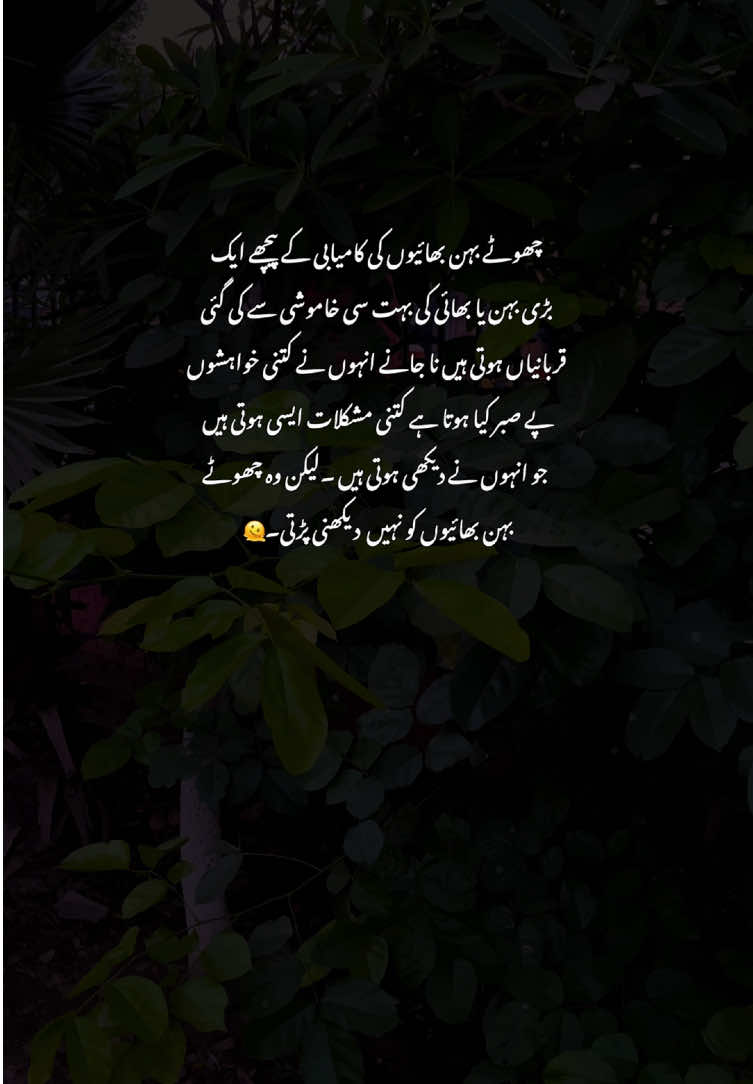 🫶🫠#fyp #grow #poetry #viralvideos #aestheticvideos 