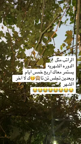 😂😂😂😂😂#تحشيش #نكت #نهفات #الشعب_الصيني_ماله_حل😂😂 #اكسبلور 
