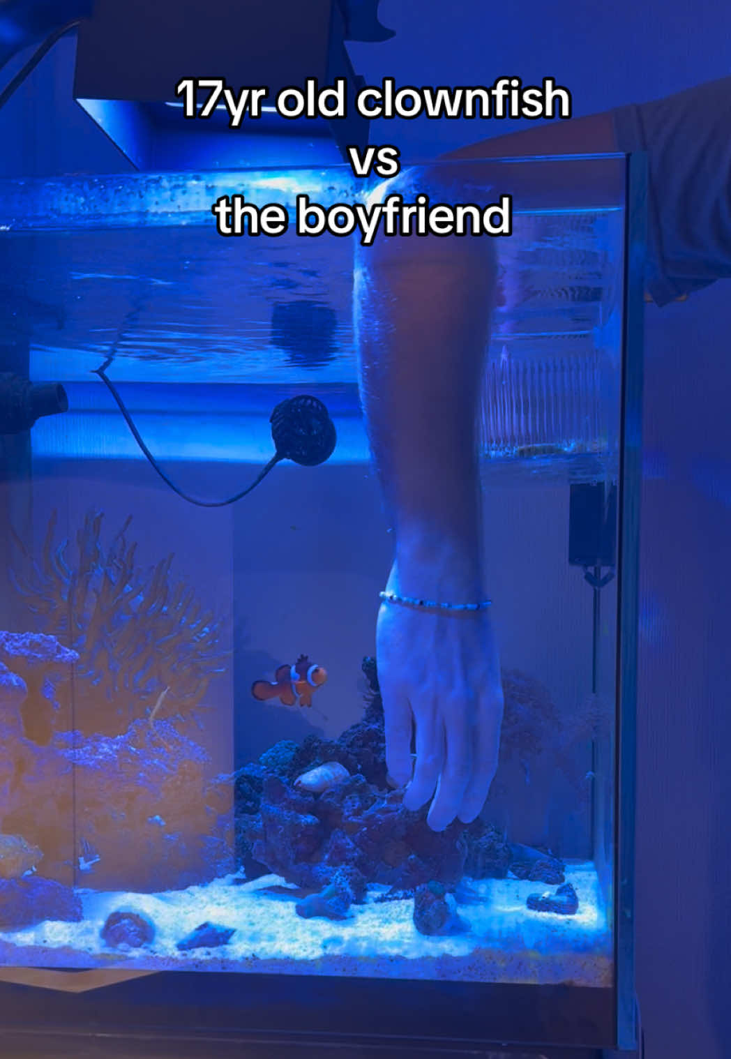 “yeah sure.. you can rescape nanas tank..” she got him good at the end 😂 #nanatheclownfish #omenandnana 