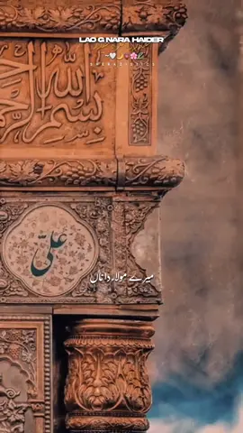 Lao G Nara Haider(a.s)✊🙇‍♂️🫀🔏. . . . #yaali̇ #molaali  #qaseeda  #najaf #sherazistics2 