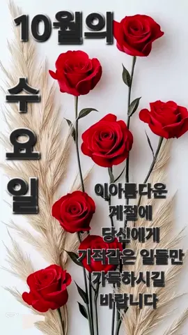 풍성한 마음으로 웃음을나누는하루 사랑을 전하는하루 되시길 바랍니다 💝💝💝