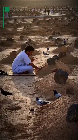 We chase this world as if we will live forever… Yet Abu Dardā (رضي الله عنه) reminded us “O son of Adam, you are nothing but a collection of days. Every day that passes, a part of you is gone forever.”✍️🏾 Our time is running out, moment by moment. Each breath is one step closer to the grave.😭 So pause. Reflect. Return to Allah before your days run out… Because what’s gone — will never come back again.☝🏾😭 🕊️ #LifeIsATest #ReminderOfDeath #ReturnToAllah #IslamicReminders #MaulanaSulaymanKhatani