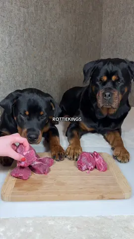 #rottweiler #rawfeeding 