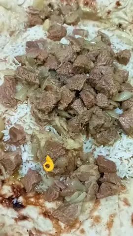 أحلا عشا وياي حبايبي كلبي 🫶