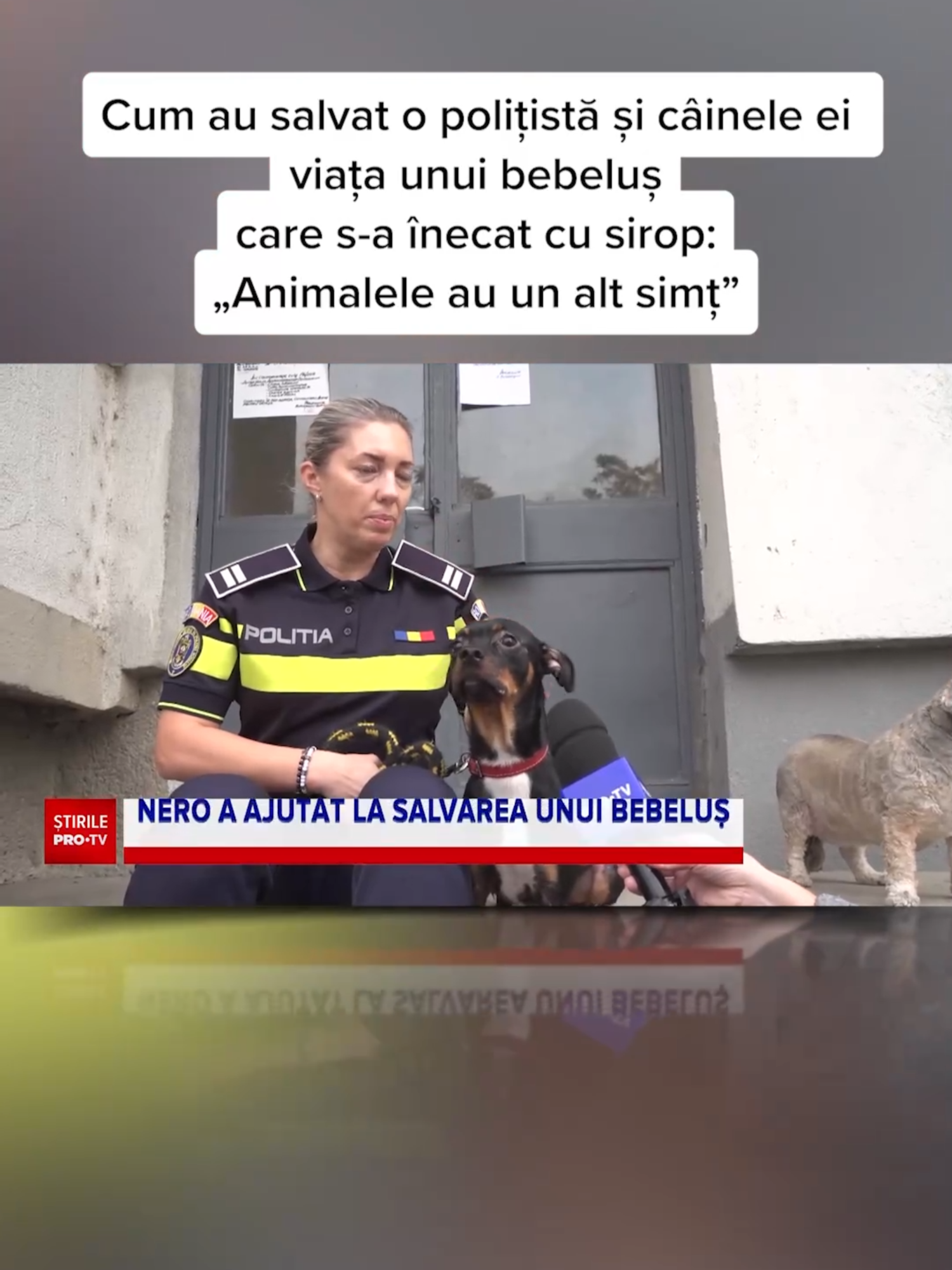 Cum au salvat o polițistă și câinele ei viața unui bebeluș care s-a înecat cu sirop: „Animalele au un alt simț” #stirileprotvdeastazi #news #stiri #protv #stirileprotv