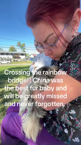 @Ang!!!! 💜 @_.krabbypatty #furbaby #rainbowbridge #doggieheaven 