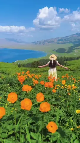 #LIVEIncentiveProgram #paratiiiiiiiiiiiiiiiiiiiiiiiiiiiiiii 