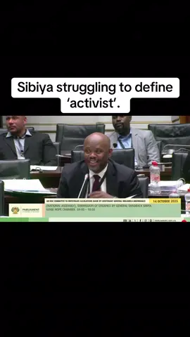 WATCH: UShadrack Sibiya usezithole engingiza, ehluleka ukukhuluma when he was asked by Dereleen Elana James to define what an activist is, after he referred to Brown Mogotsi as an 'activist'. 📸: Parliament of the RSA  #GFMNews #GagasiFM #TheSoundOfKZN #ShadrackSibiya #fyp 