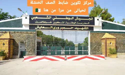 حمات الوطن 🇩🇿 قواة الخاصة 🇩🇿 حراس البلدي 🇩🇿 دفاع الذاتي 🇩🇿 بيافام 🇩🇿 الجيش الوطني الشعبي 