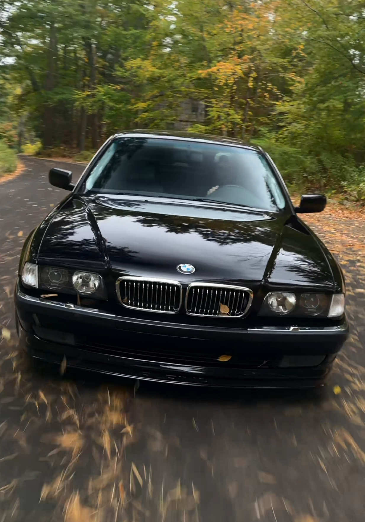 Flagship 7er #bmw #e38 #carsoftiktok #germancars #alpina 
