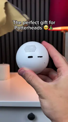 Perfect gift for Potterheads #harrypotter #harrypottertok 