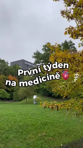 First week done, six years left… S kódem “ANNIE10” máš 10% slevu na přípravu od doctor2be👩🏻‍⚕️ #lekarskafakulta #medicina #student #lfp #fyp 