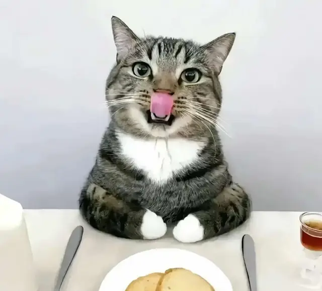 #fyp #animegirl #zenlesszonezero #genshin #honkai 