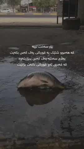 #foryou #viral #fpyシ #fyp 