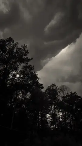 Carol Of the Bells 🥀🎧 #aesthetic #nature #forest #dark #vibes 