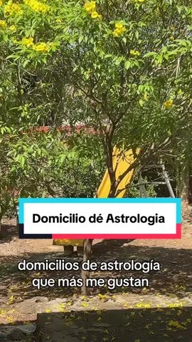 Jupiter en Sagitario ♐️ y Piscis ♓️ #regenciasplanetarias #jupiterensagitario #jupiterenpiscis #astrologiatiktok #astrologiafabian 