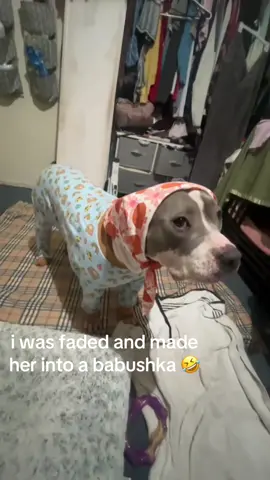 she hates me #pitbullsoftiktok #dogsoftiktok #pajamas #funnydog #adoptdontshop 