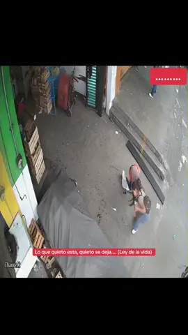 Cabe recalcar que no me siento orgullosa de este acto pero el que busca encuentra y yo ya le había pasado muchas a esta burraaa🫣 video completo en mi perfil 😬