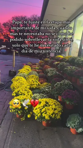 #papá🕊️💔😭 
