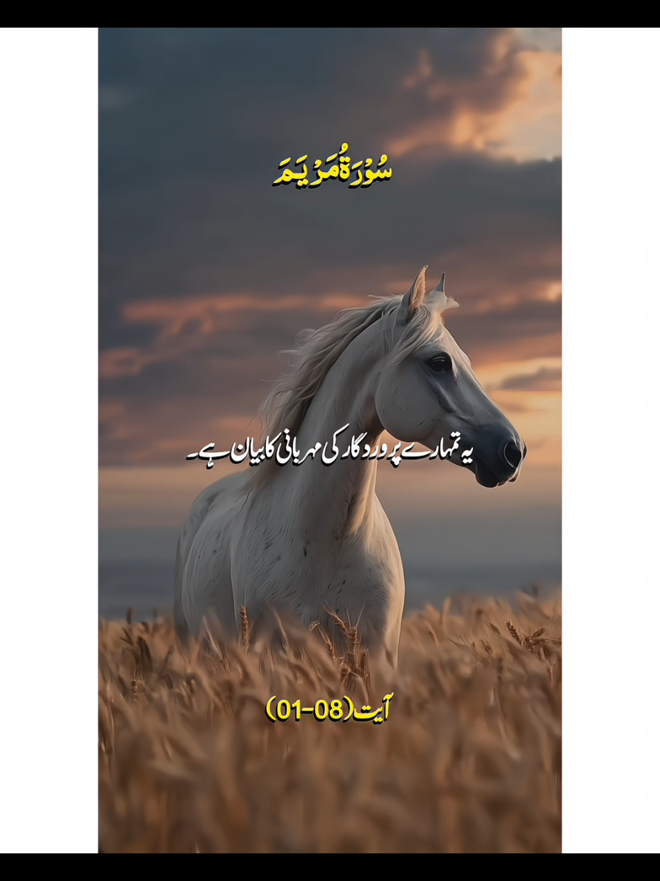 ye tumhary parverdigar ky mihrbani....🤲😊#foryou #foryoupage❤️❤️ #viral #fyp #viralvideo 