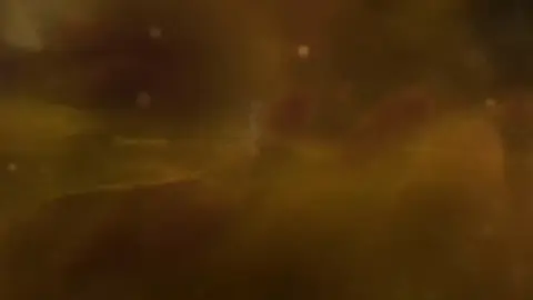 #dragonball #dragonballsuper 