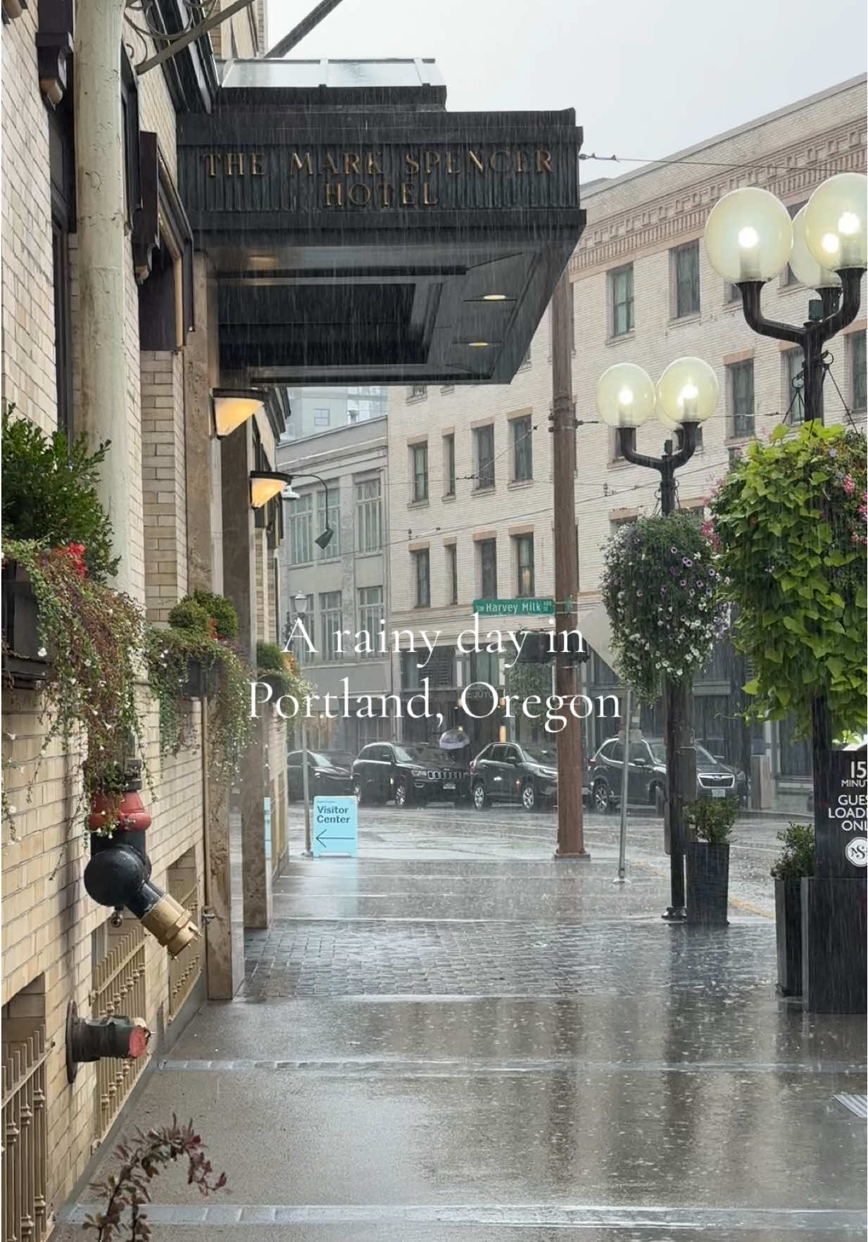 There’s nothing like getting caught in a good down pour on fall day in the pnw. Portland was a blast as always ☔️ #pnw #rain #oregon #portland #travel 