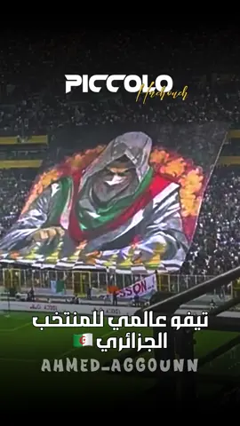 تيفو عالمي للمنتخب الجزائري🇩🇿 #مباريات_اليوم #الجزائر🇩🇿 #المنتخب_الجزائري #الشعب_الجزائري_ماله_حل #محاربو_الصحراء💪🇩🇿❤⚽️ 