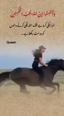 Queen 👑 #uae🇦🇪 