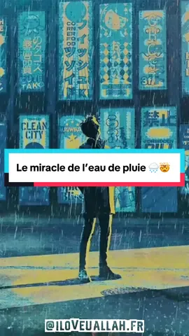 Le miracle de l’eau de pluie 🌧️🤯 #rappel #islam #musulman 