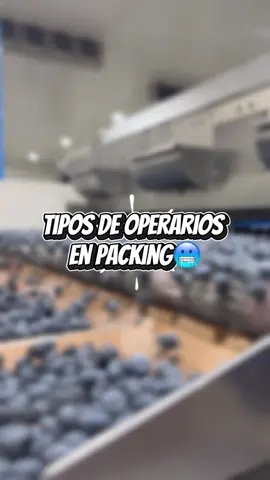Etiqueta a un compañero que se parece a uno de ellos🤣🤭 #fyp #packingperu #trabajo #arandano #aquanqaprize 