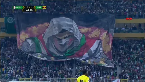تيفو المنتخب الوطني الجزائري أماما أوغندا #fyp #كأس_العالم #المنتخب_الجزائري #fotball #⚽️ 