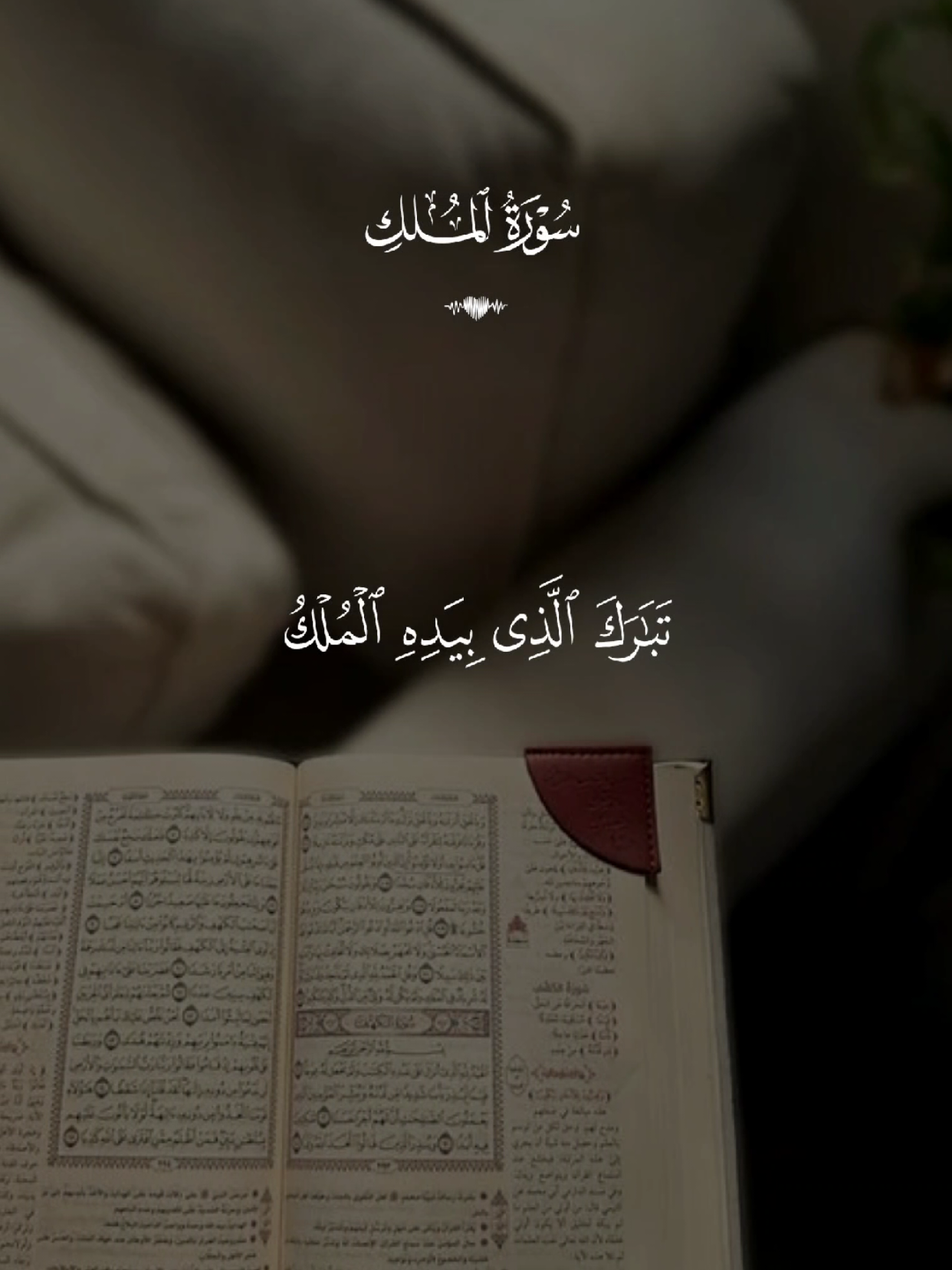 سورة الملك 🤍🎧 #قران #quran #قران_كريم #Allah #اللهم_صلي_على_نبينا_محمد 
