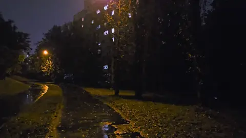 а вот и версия со звуком. кому попалось ночью? #ночныереки #грустноевидео #бойцовскийклуб #тильт #дождь 