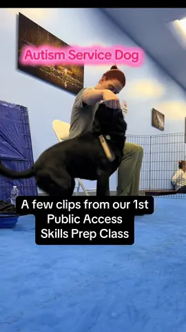 In addition to working on rear end awareness, this week we have lots to practice! We started a 6 week class with 3 other #servicedogintraining learning skills that will help us with public access. #DogTraining #ownertrainedservicedog #autisimservicedog #servicedog 