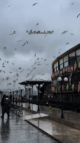 النفس الحرّه سعيده 