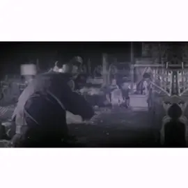 #المصمم_ابوسيك #مهيدي_ابن_زمزم #عالم_الست_وهيبة #تصاميم_فيديوهات🎵🎤🎬 #تصميم_فيديوهات🎶🎤🎬 