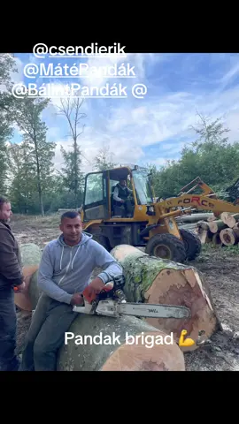 #sthil💪🌲 #stihl #ms500i #foryoupageofficialvideo #chainsaw 