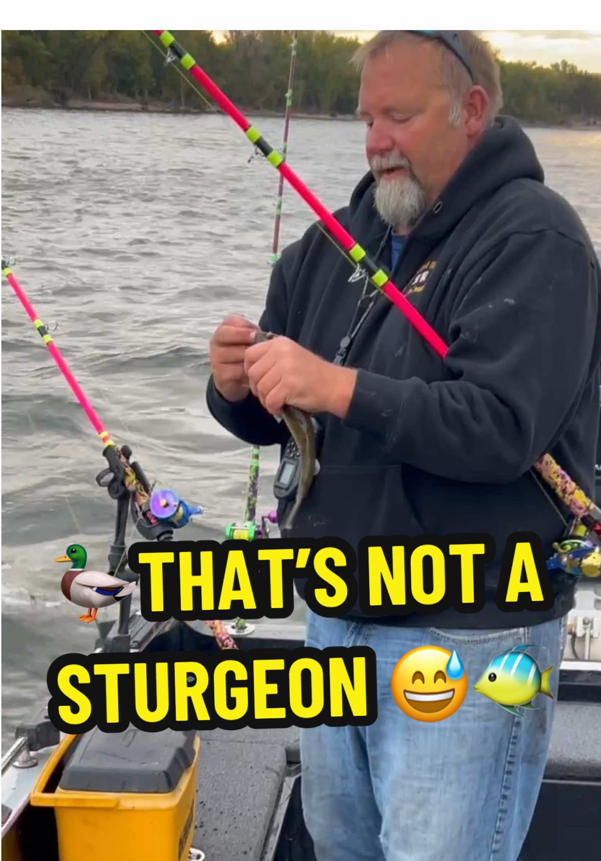 🦆THAT’S NOT A STURGEON 😅🐠 🎣 #cootslures #letsgofishing #sturgeonfishing #sturgeon #fishing @jarradfluekiger 