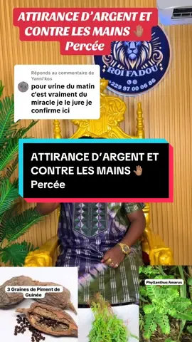 Réponse à @Yanni'kos @Roi Fadou 2 @Le Mystère❓☯️✡️ #Roifadou #roifadouboys #benin🇧🇯 #france🇫🇷 #Roifadou @Axel Merryl @J.L.C - Le Phœnix🔥 @Bovann @Lachichi Oyono Guestapoo @Yénalia Lédémin ❤️ @Régie Boyzz’er 💪 